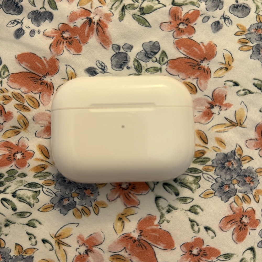 Air Pods Pro CASE ONLY, lightning charger